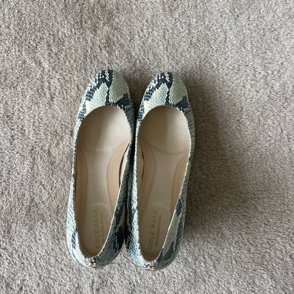 Cole Haan Women's Snakeskin Pattern heels